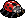 Common Ladybug