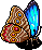 Common Morpho Butterfly