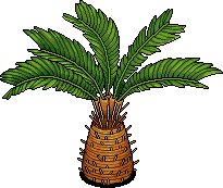 Round Palm