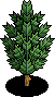 Narrow Tree