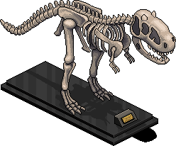 Carnotaurus Skeleton