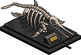 Ichthyosaur Skeleton