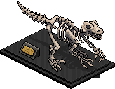 Velociraptor Skeleton