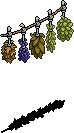 Drying Herbs