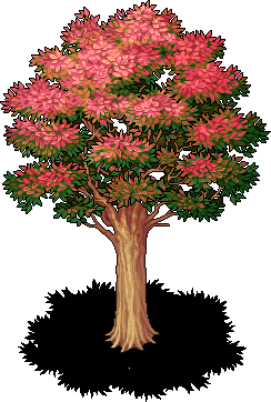 Bright Transitional Tree