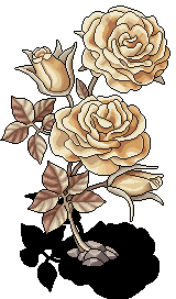 Enchanted Blooming Roses
