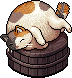 Onsen Stray Cat
