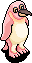 Albino Penguin