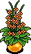 HC Potted Plant