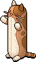 Long Orange Cat