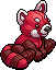 Lovely Red Panda