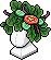 Salad Head
