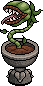 Hungry Monster Plant