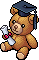 Graduation Teddy