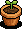 Strelitzia Plant