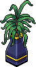 Indigo X Plant