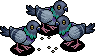 Feeding Pigeons