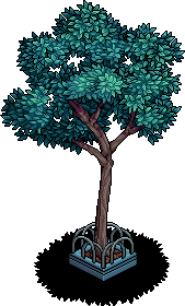 City Tree