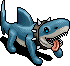 Shark Puppy