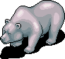 Silver Bear