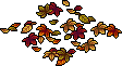 Autumn Fallen Leaves