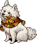 Autumn Samoyed