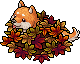 Autumn Shiba Inu