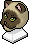 Face of a Feline