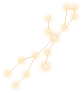 Virgo Constellation