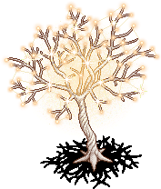 Star Tree