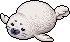 Harp Seal