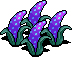 Dark Fruit