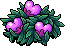 Fairy Fruit