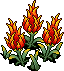 Fire Fruit