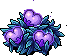 Dazzling Fairy Fruit