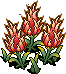 Dazzling Fire Fruit