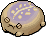 Lavender Desert Rain Frog