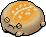 Sunny Desert Rain Frog