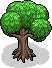 Miniature Tree