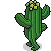 Bobba Cactus