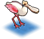 Spoonbill