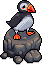Puffin