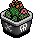 Potted Cactus 3