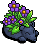 Sleepy Midnight Planter