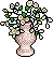 White Peruvian Lilies