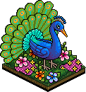 Lustrous Peacock