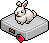 Bunny Companion