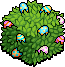 Painted Egg Bush
