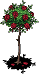 Painted Red Rose Bush