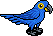 Blue Macaw